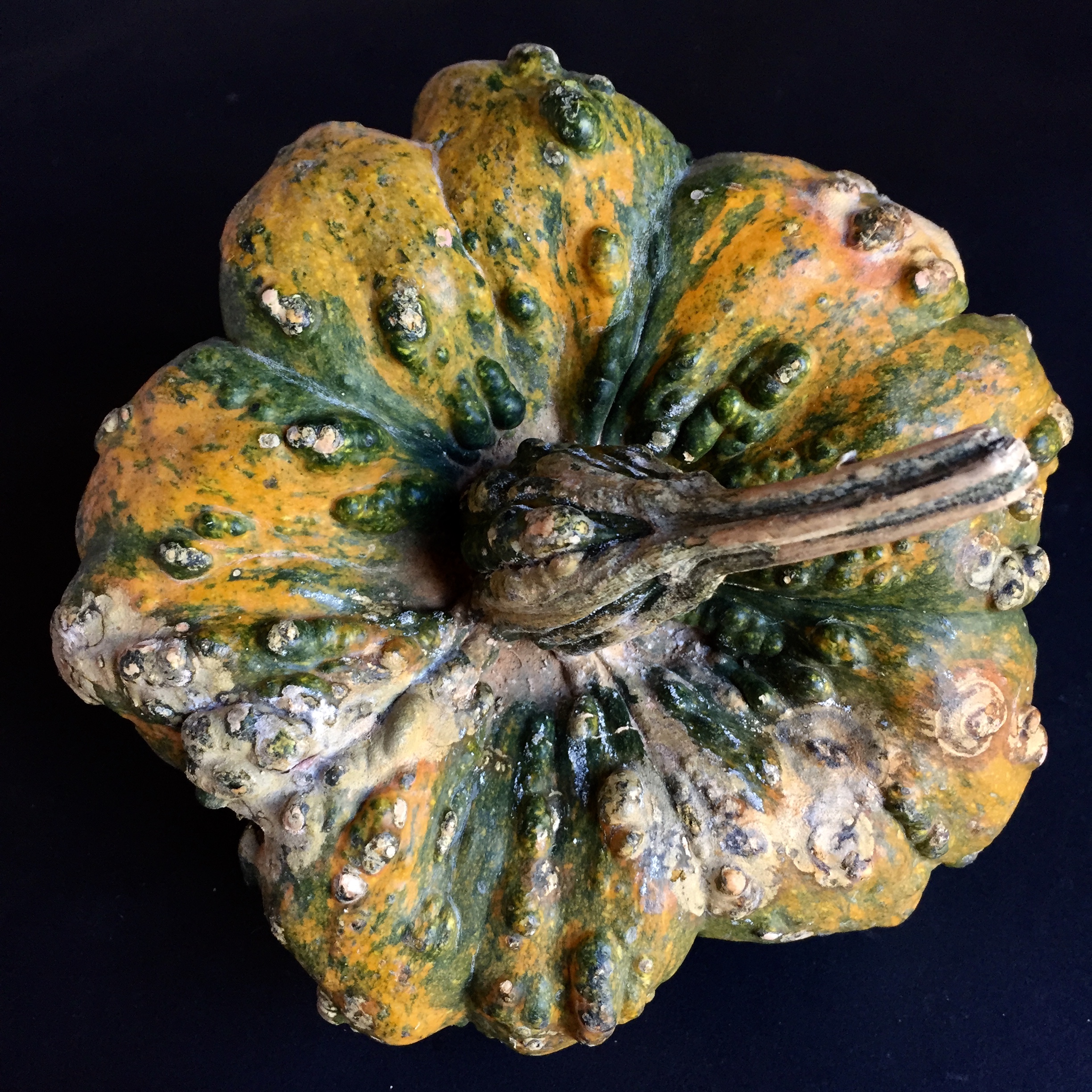 17AA8C6C-45D9-47C6-BFF9-79FE26A0CC80