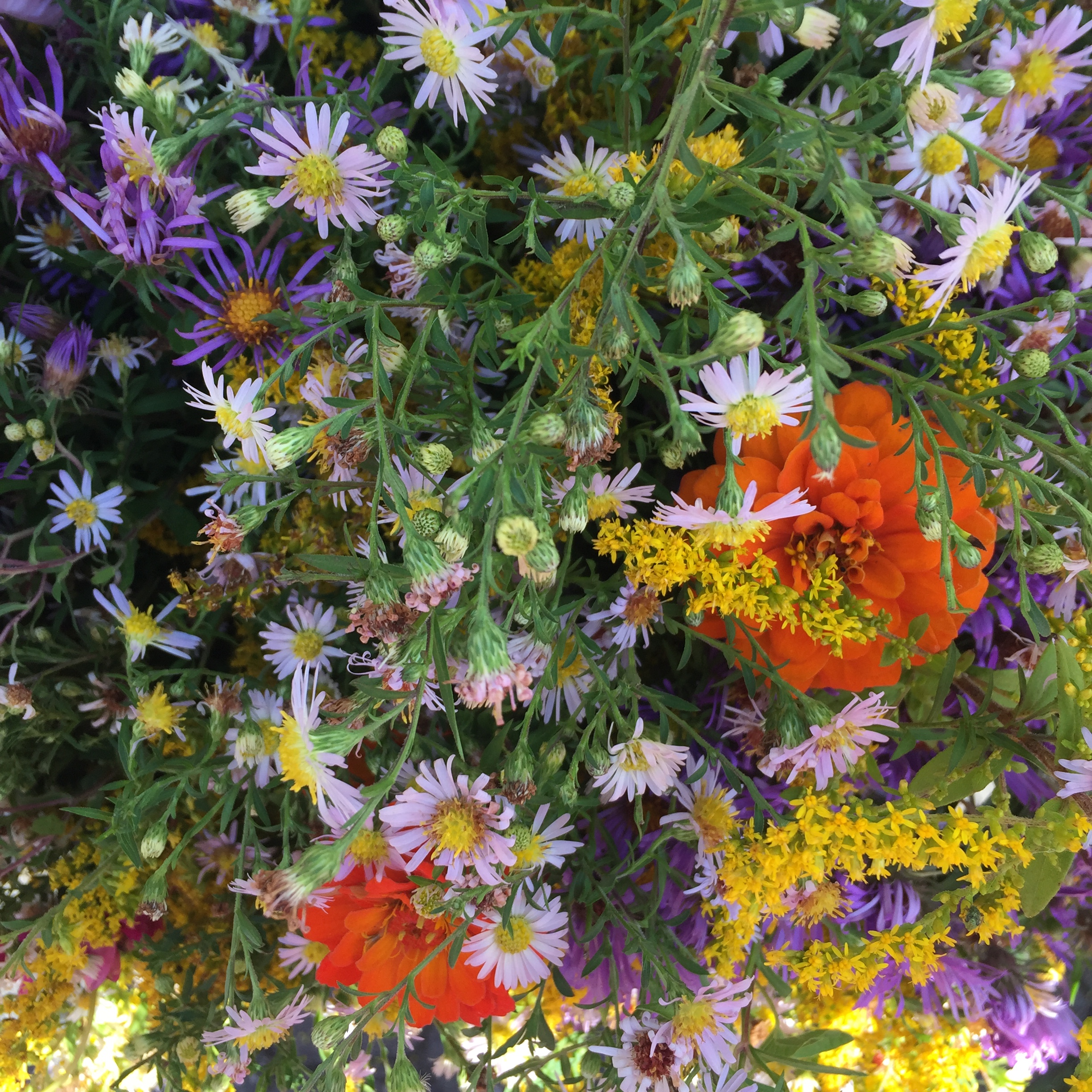 3D9DF84F-B0AF-4ED0-A810-2E13B7BF7C5D