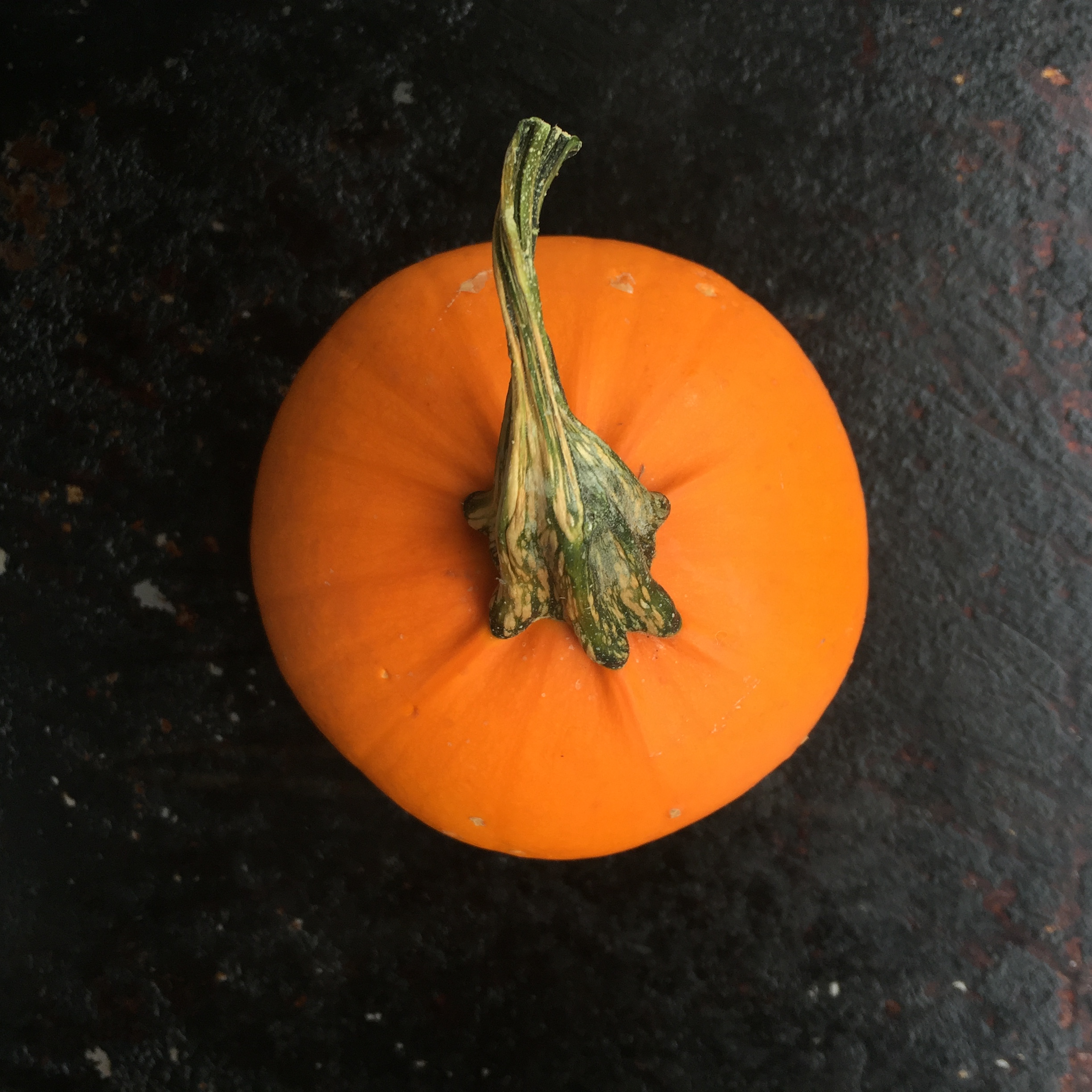 5135D877-5FF6-473E-A165-D58EC057EBBA