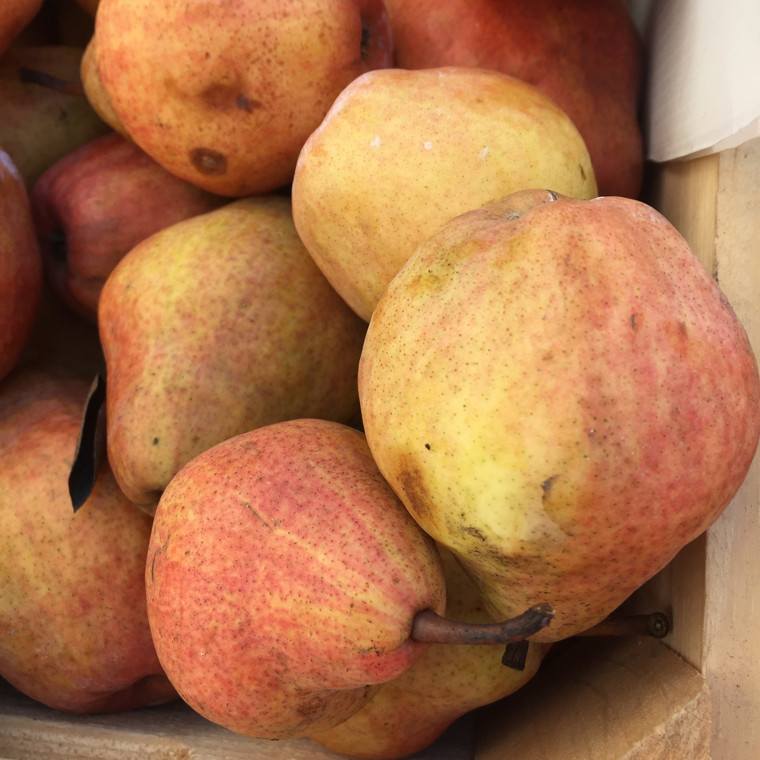 8C9320B4-E112-475C-A02F-747FEE50CADF