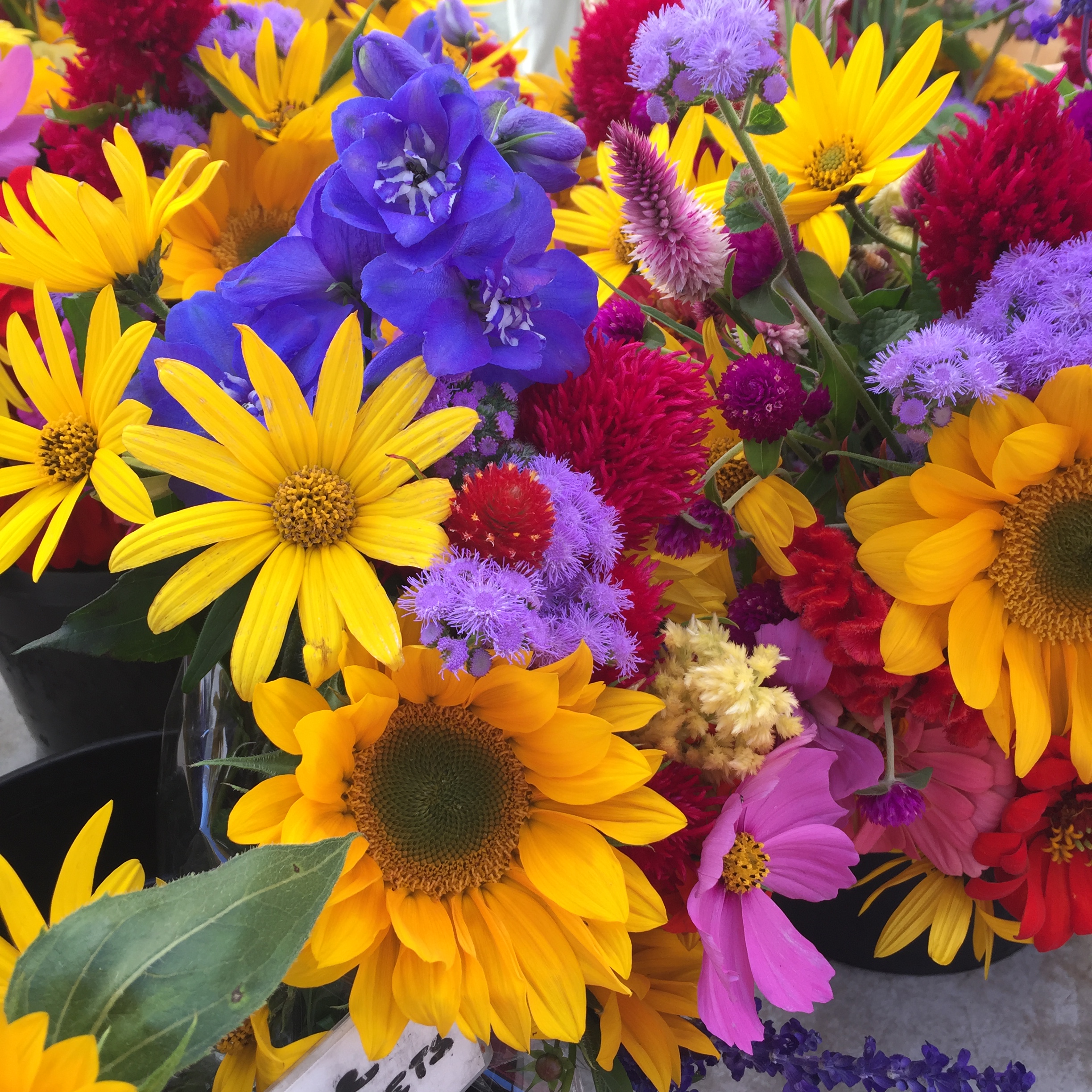 E977067E-A1BC-407E-A24B-97CA8F15BDB2